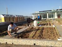 看，姜总的小农场